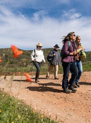caminhada guiada semana id curso guias